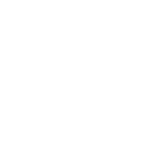 La Sicurezza<br />
è sempre Standard